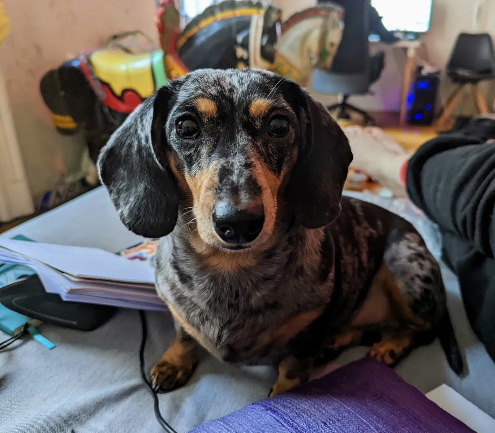Excel can Wait
