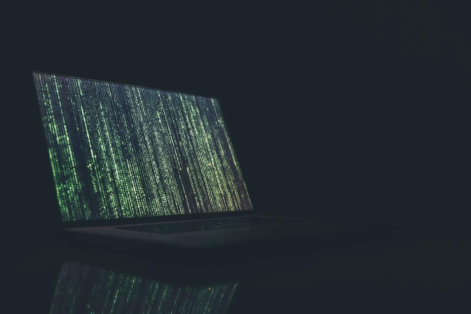 From Firewall to Funnel: The CMO's Ecommerce Guide to Cybersecurity